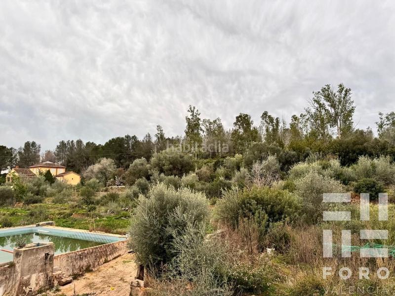 Foto 5b652a1b-d358-466b-8e73-99c10d5eac26. Masía en poligono 32 15 masia en Carcaixent