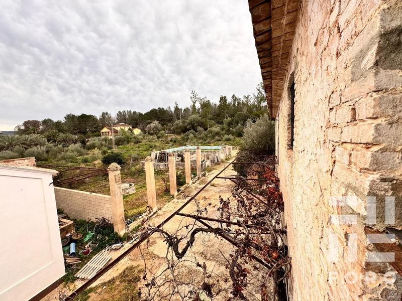 Foto d5a3aaf5-e424-469a-8594-4b488f6c36eb. Masía en poligono 32 15 masia en Carcaixent