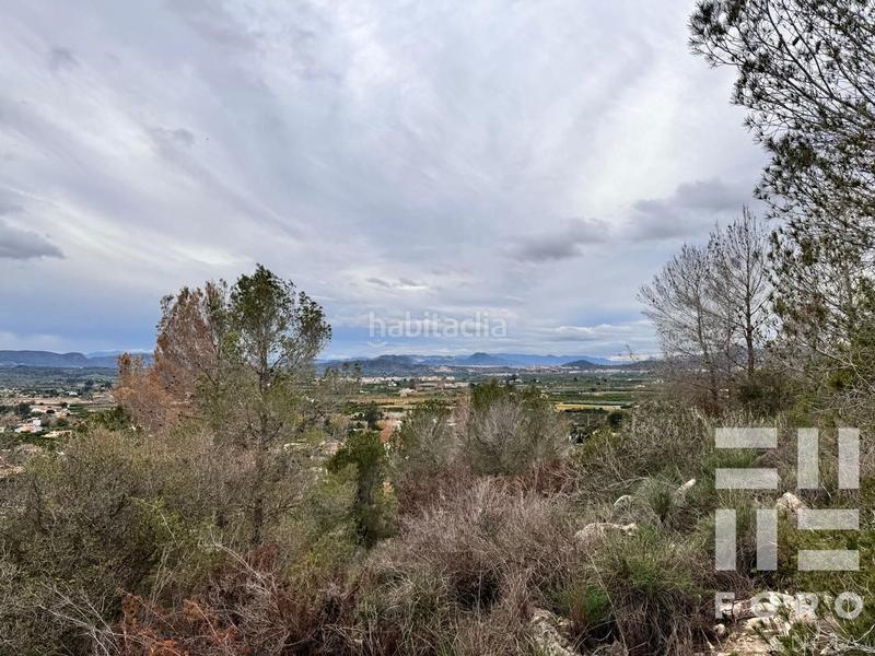 Foto ed431b0f-a52e-4e34-b480-787e3a988813. Masía en poligono 32 15 masia en Carcaixent