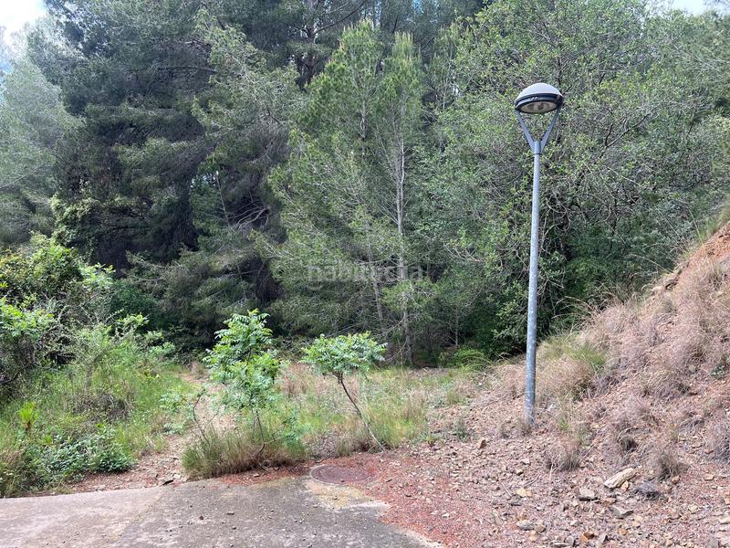 Foto 58ea46bf-38a8-45ad-9180-18f1dc1284dd. Terreny residencial a de les alzines 13 a Castellvell del Camp