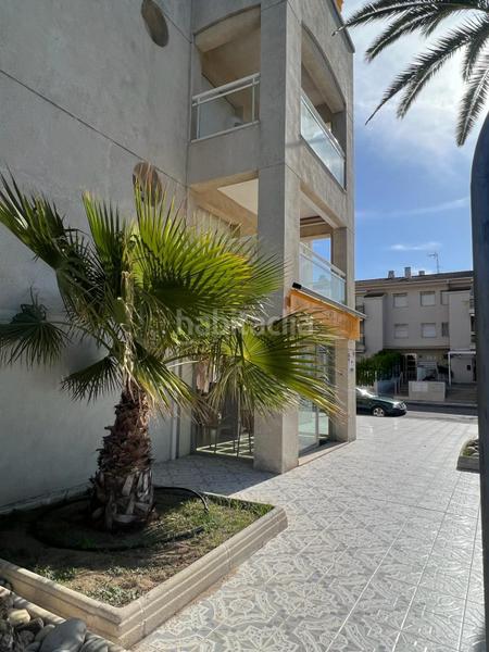 Foto 6df6d0e6-880f-45e7-8400-afbfb9fef6da. Flat in Regueral - Prat d'en Forés Cambrils