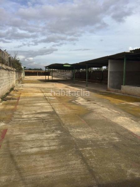 Foto 747b104a-7244-4409-9ec3-bf659650b8f9. Nave industrial nave en venta con rentabilidad en Reus