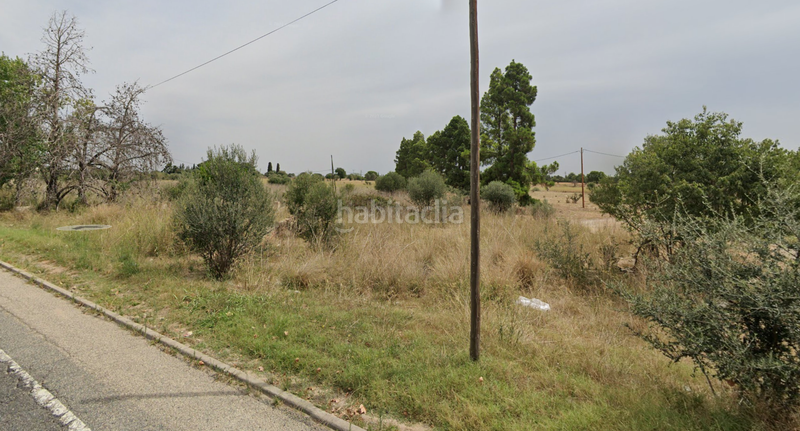 Foto 61010d31-745f-4f6d-8cd0-4e070c68a4e0. Residential plot in Migjorn Reus