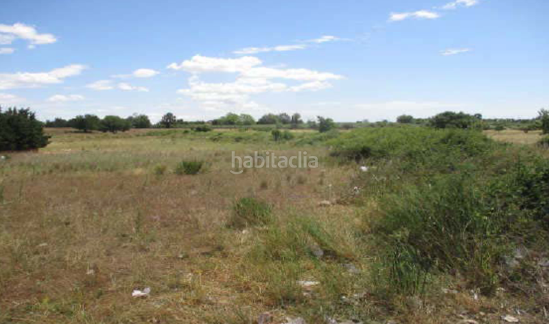 Foto 981cb1dc-7bac-4b2e-b5ef-0aa4b3615257. Residential plot in Migjorn Reus