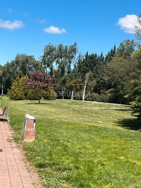 Foto 24a53c50-cc72-41de-a02b-26edff3618c4. Duplex in Hospital Nuevo Valladolid