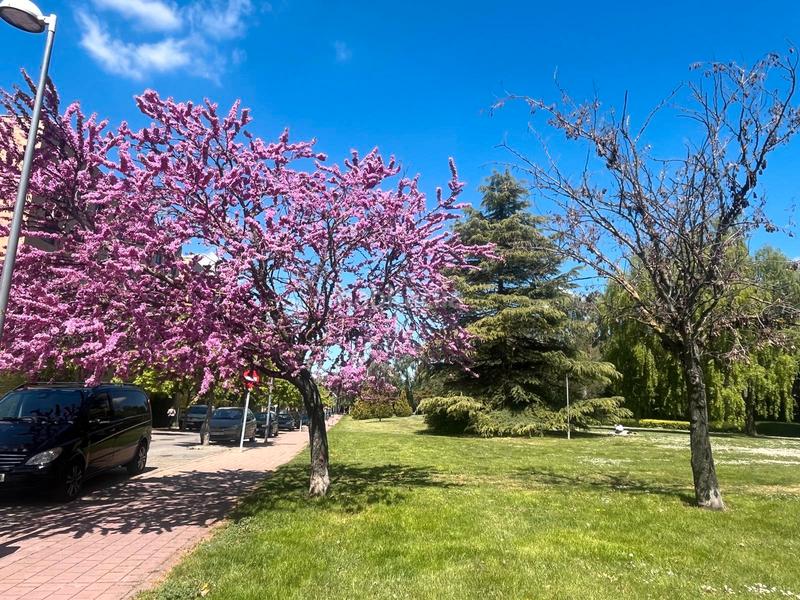 Foto 4fbbfe3e-15e2-4c1c-8c69-41ac82c82820. Duplex in Hospital Nuevo Valladolid