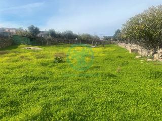 Terreny residencial a Calle nueva 33