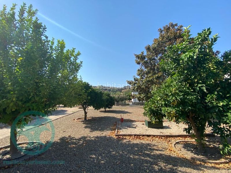Foto 5088861f-6988-4343-98e6-ee92271e6864. Terreno residenziale in calle tamarindo 4 in Navalmoral de la Mata