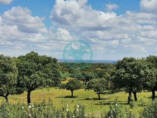 Finca rústica  Calle sansueña. Magnífica finca de caza y naturaleza.