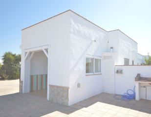 Lloguer Casa a El Palmar. Casa con patio-terraza de uso exlusivo, 2 dormitorios, salón/com