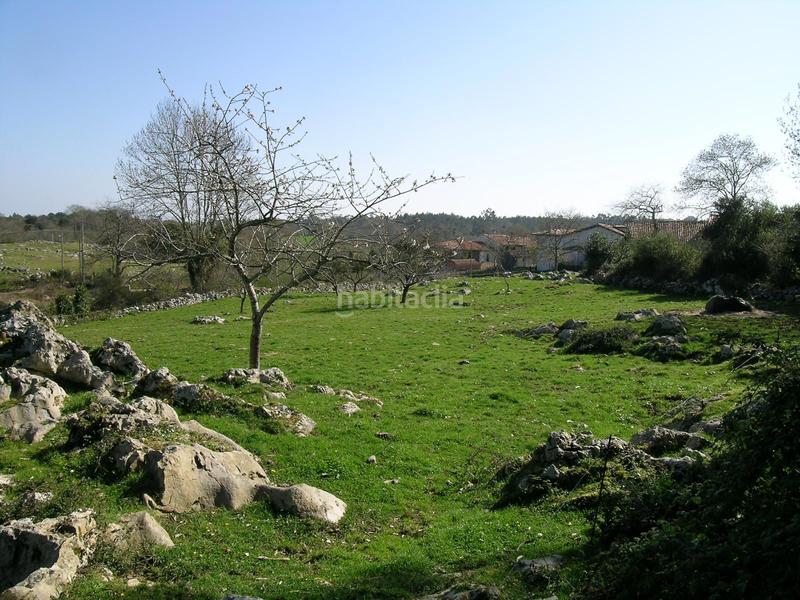 Foto 33812608-560c-4b5d-9042-a914eee5d058. Terreno residencial en calle piedra 41a venta de parcela edificable de 1000 metros en Llanes