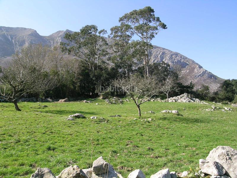 Foto 4e4752e0-3be8-4118-8367-cf158dd00025. Terreno residencial en calle piedra 41a venta de parcela edificable de 1000 metros en Llanes