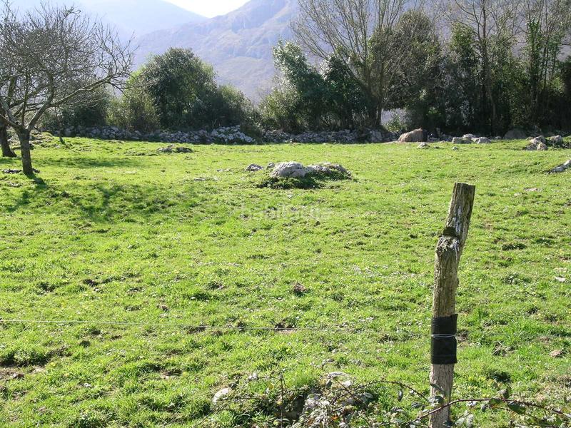 Foto 5e415e46-2dc9-477a-a9d0-e026bfda75b2. Terreno residencial en calle piedra 41a venta de parcela edificable de 1000 metros en Llanes