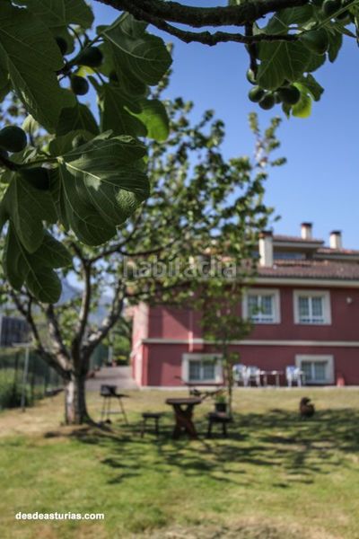 Foto a589ff82-f9b0-46a5-a4ee-1cc9978684b0. Alquiler apartamento en calle bricia 13a apartamento de 2 habitaciones con calefacción con capacidad para 4 personas en Llanes
