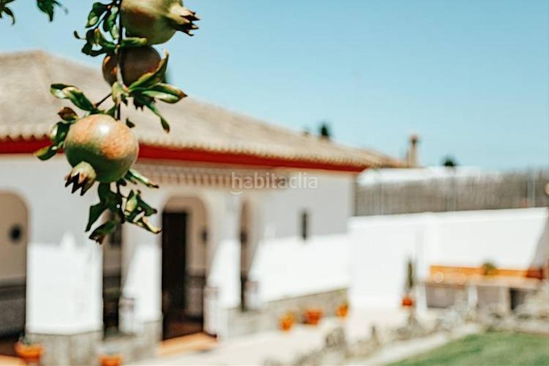 Foto 44227ada-e252-4673-a29e-67da50b894ba. Lloguer xalet a carril el mudito 8 a Conil Conil de la Frontera