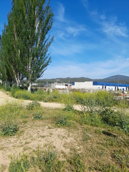 Foto 47adbc36-9e06-435c-a745-10010b2b57de. Affitto area edificabile industriale in Can Illa Garriga (La)