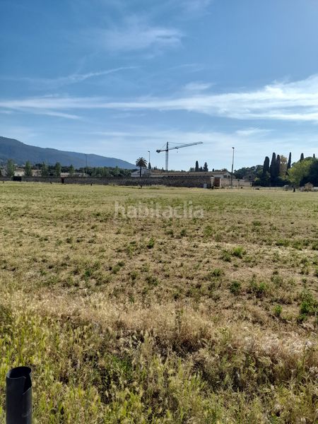 Foto 98738a40-8e12-454c-ad1f-a695a3597f1f. Affitto area edificabile industriale in Can Illa Garriga (La)