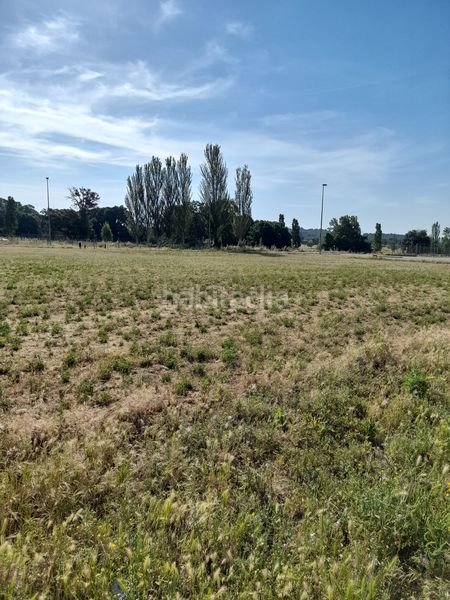 Foto a1a5bbbe-a728-4a50-a297-c4a8bd2ef1e6. Affitto area edificabile industriale in Can Illa Garriga (La)