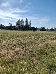 Lloguer Solar industrial  Carrer de priora xixilona. Industrial, comercial, almacenamiento, ocio...