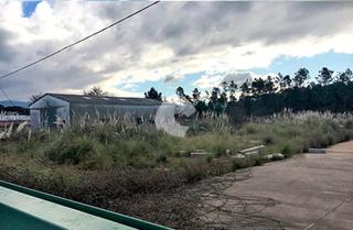 Terreno residencial en Tomiño. Suelo urbano de 4.999 m2 y edificabilidad de 1.999,60 m2 en carr