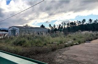 Terreny residencial a Tomiño. Suelo urbano de 4.999 m2 y edificabilidad de 1.999,60 m2 en carr
