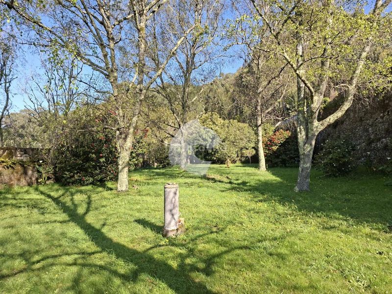 Foto 29516969-ad38-40ca-a1e0-12ce77dc2c77. Casa a Guarda (A)