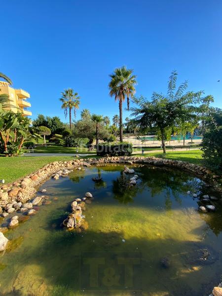 Foto bf192155-9108-4f1b-9bd5-a9adacbeae40. Appartement dans de Islantilla 1 dans Islantilla costa Islantilla