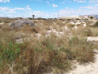 Residential Plot in Crevillente. Parcela partida de matola , 4000 metros de terreno