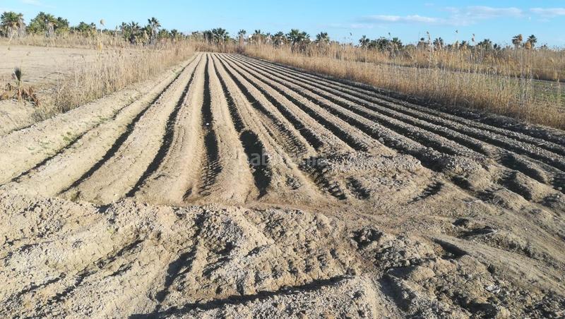 Foto 8dcbdf04-3fd6-4406-8451-dca16f4eb385. Terreno residenziale in San Fulgencio