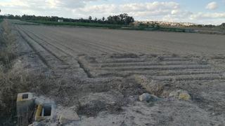 Terreno residencial en San Fulgencio. Parcela no urbanizable, cerca de guardamar, 3 parcelas