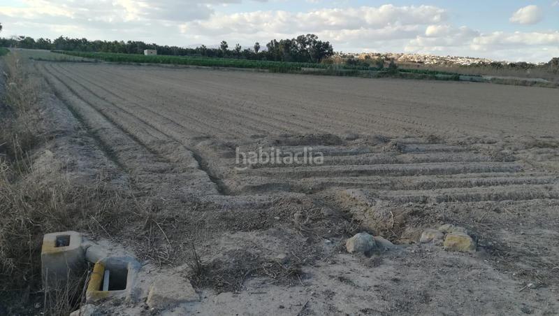 Foto c089fd46-f204-4176-b318-25e523c54466. Terreno residenziale in San Fulgencio