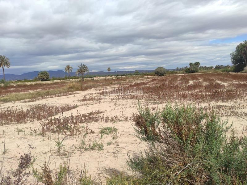 Foto 3f1da382-3c79-4d70-a83e-9411baaf857a. Terreno residenziale in La Foia - Daimés - Asprella Elche / Elx