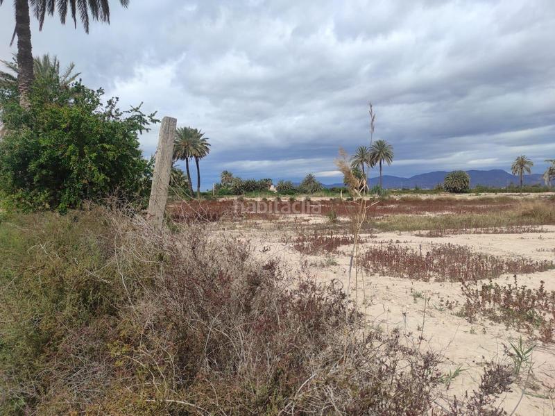 Foto 54d6353c-3bb0-4b5c-ad20-d86f6c70ca92. Terreno residenziale in La Foia - Daimés - Asprella Elche / Elx