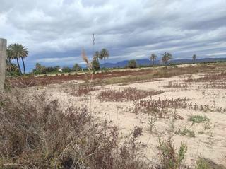 Terreno residencial en La Foia - Daimés - Asprella