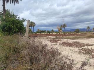 Terreny residencial a La Foia - Daimés - Asprella. Parcela rustica ,zona el derramador