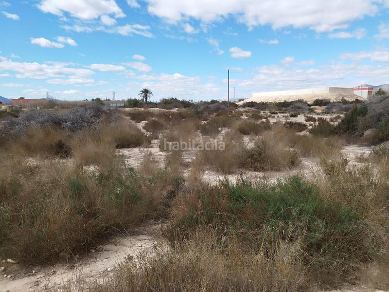 Foto 2fe30d4c-703f-425b-8bfa-4a4375f74bd8. Wohngrundstück in Crevillente