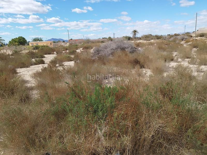 Foto 56fd4275-3d32-4251-8ece-671e2e808aa8. Wohngrundstück in Crevillente