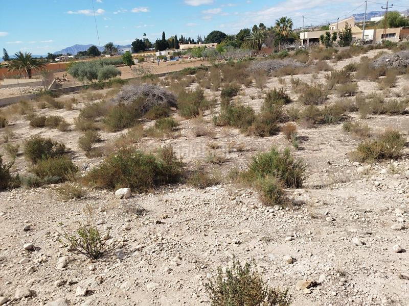 Foto 9ebecf8f-33c9-4212-9259-1de9e98a9004. Wohngrundstück in Crevillente