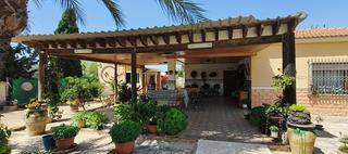 Xalet en Crevillente. Oportunidad nica! encantadora casa de campo en partida cachap,