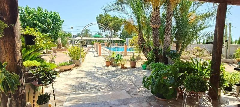 Foto 8e6545f5-5d33-4691-9630-acf91b16b0cb. Chalet oportunidad única! encantadora casa de campo en partida cachap, en Crevillente