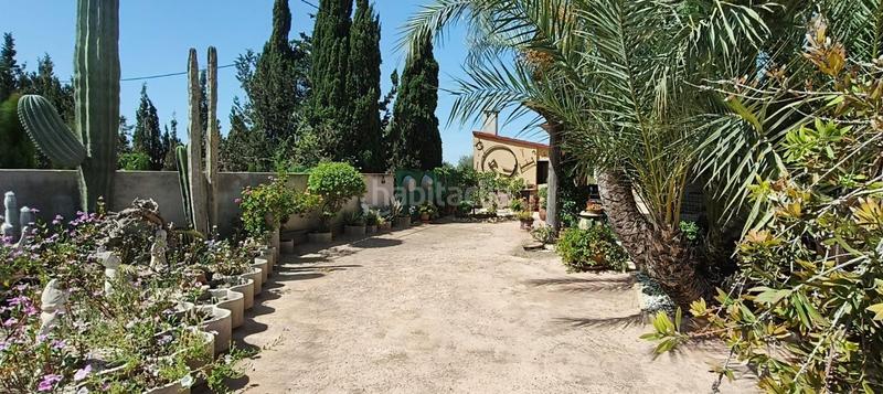 Foto be16383f-cf19-465c-91cf-7f90cf996cdf. Chalet oportunidad única! encantadora casa de campo en partida cachap, en Crevillente