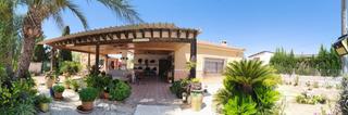Chalet à Crevillente. Oportunidad única! encantadora casa de campo en partida cachap,