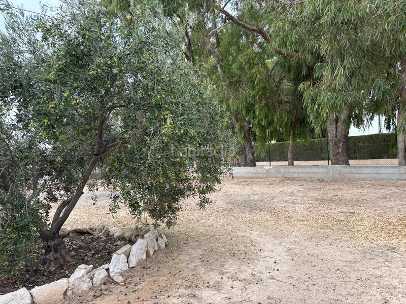 Foto 51dbf652-dd37-4bfb-92dd-2881423383f7. Chalet with pool in Perleta - Maitino Elche / Elx