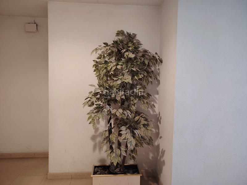 Foto 244976ac-3274-48df-8e35-67104cc8dd21. Local comercial entresuelo comercialen venta zona plaza madrid, en Elche / Elx