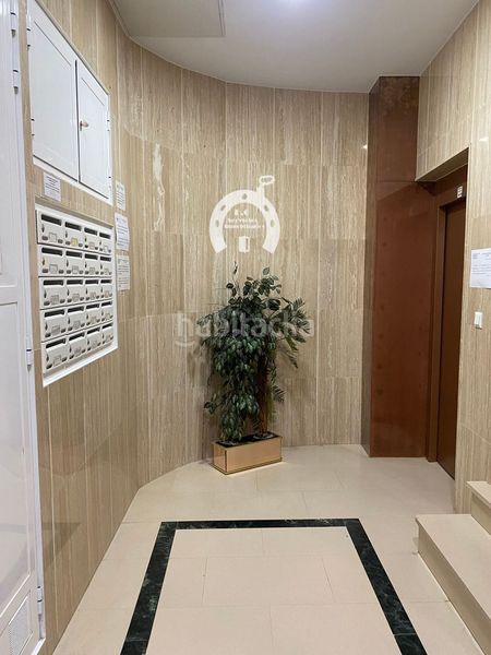 Foto 3c6ed3b5-b9f1-48cf-9d68-df5829325807. Pis a La Marina Elche / Elx