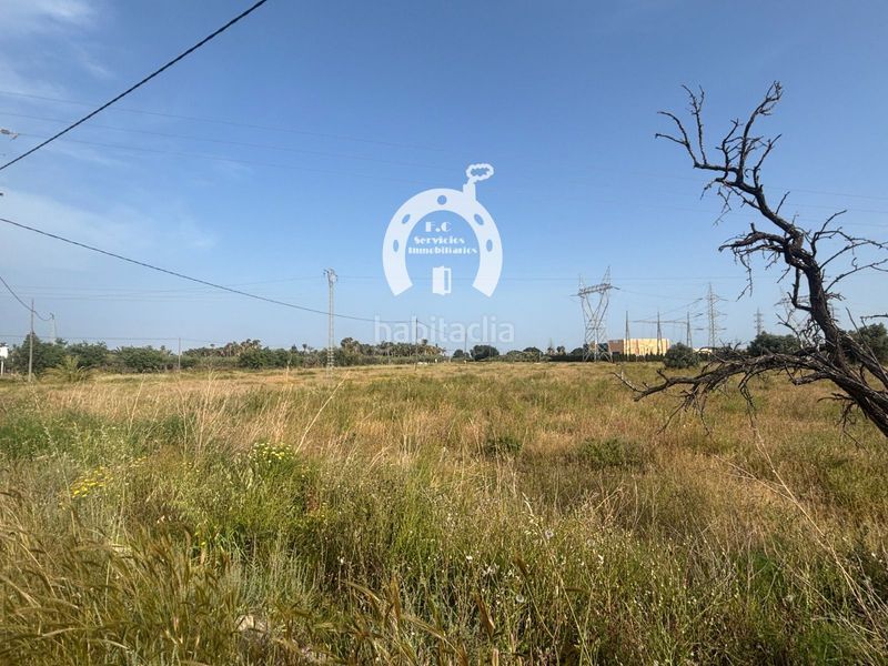 Foto 7a56a00c-ea60-4594-a539-f7c2c24806e3. Finca rústica a La Marina Elche / Elx