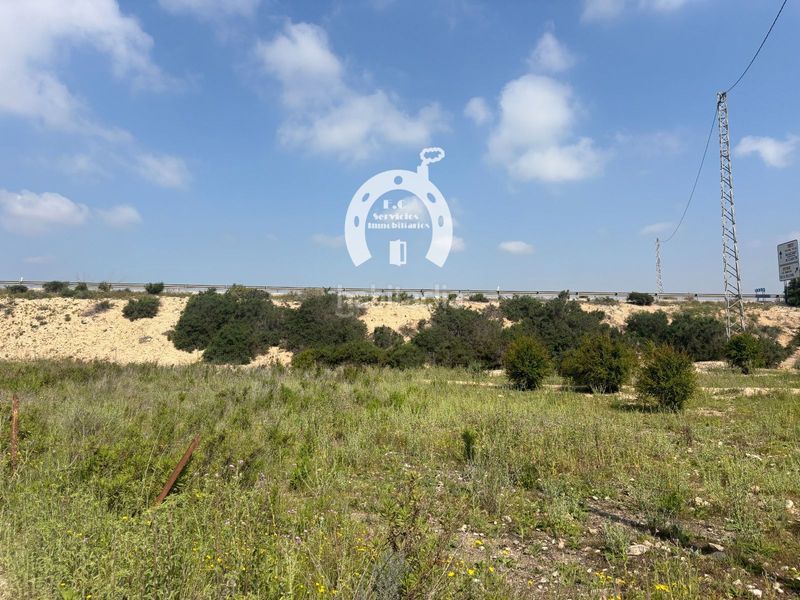 Foto a5f7a892-d204-4162-a79f-8c0fb0ce27a9. Finca rústica a La Marina Elche / Elx