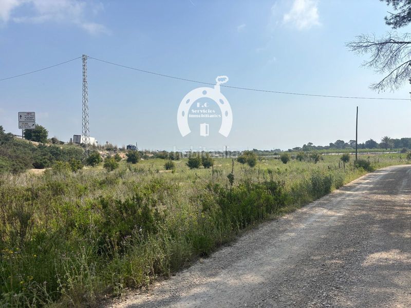 Foto e0f9091b-0c43-484b-a8bf-3f98969969e2. Finca rústica a La Marina Elche / Elx