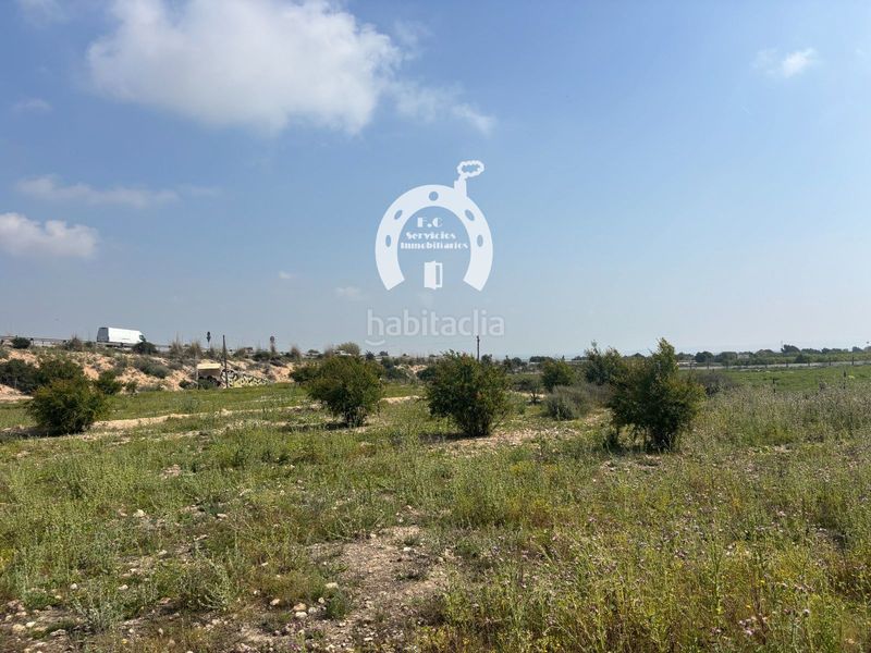Foto e5089cb0-a694-4e37-a880-7654933e8196. Finca rústica a La Marina Elche / Elx