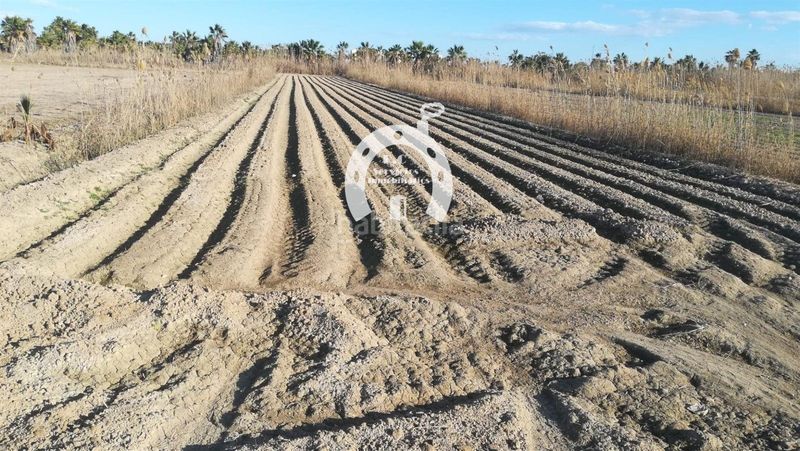 Foto 0ebfe479-239e-4ee6-a826-28ff9a8ff703. Finca rústica a San Fulgencio